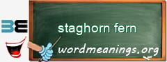 WordMeaning blackboard for staghorn fern